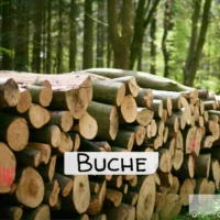 Stammholz – Buche – ganze LKW-Ladung 40 RM