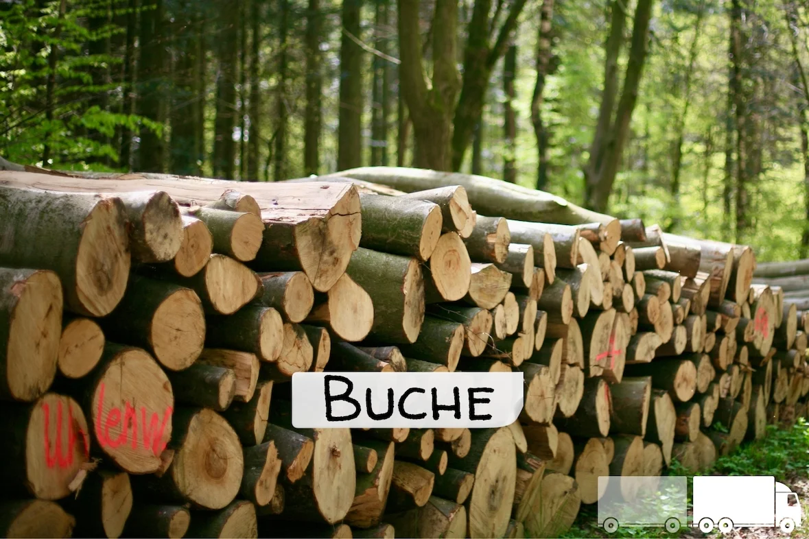 Stammholz – Buche – halbe LKW-Ladung