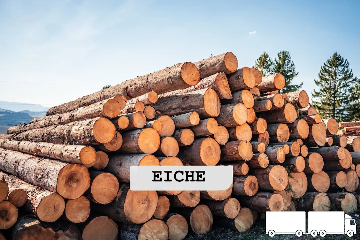 Stammholz – Eiche – ganze LKW-Ladung